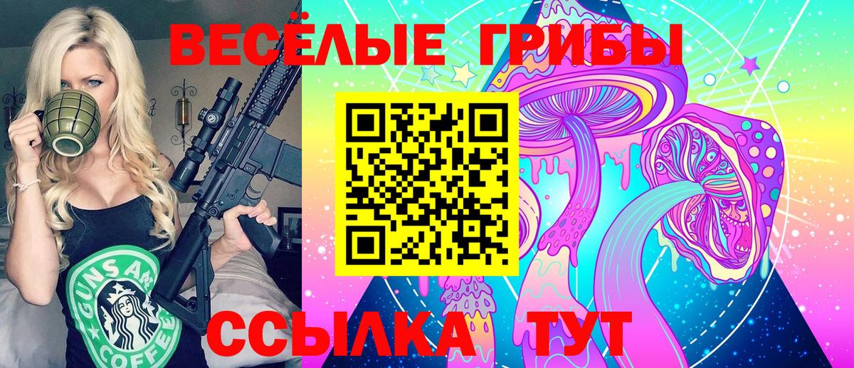 магазин    Галлюциногенные грибы GOLDEN TEACHER  Вход с VPN  Волхов  Галлюциногенные грибы ЛСД 